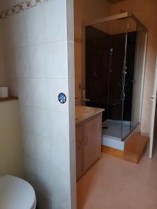 ein Badezimmer mit Dusche, Toilette und Waschbecken in der Unterkunft Gite Galy - Maison de montagne in Cazeaux-de-Larboust