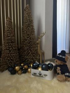 Fotografie z fotogalerie ubytování Hotel Cavalli - Winterwonderland v destinaci Blankenberge