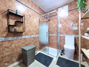 een badkamer met douche en toilet bij René in Los Realejos