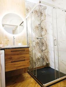 a shower in a bathroom with a sink and a mirror at Kolory Warmii Apartament Niebieski in Olsztyn