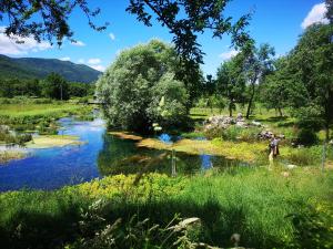 een rivier in een veld met mensen die in het water staan bij Haus Martha 