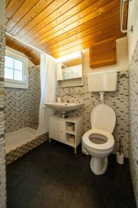 un baño con inodoro y lavabo en Mountain Loft - Where Design Meets Nature, en Axalp 62 fotos más