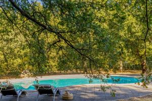 a swimming pool under a tree with chairs around it at Casa U Quercitellu Ville-di-Paraso in Ville-di-Paraso