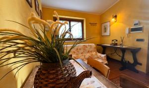 un salon avec une plante en pot sur une table dans l'établissement Domus Janas, à Scandriglia