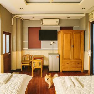 a bedroom with two beds and a cat sitting on the floor at Sài Gòn Hotel Bình Tân in Ho Chi Minh City