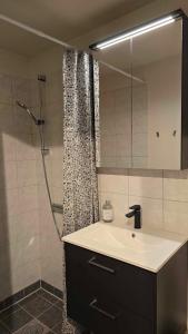 Koupelna v ubytování The Guest Apartment + 13 fotografií