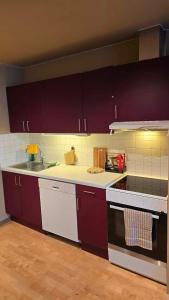 Kuchyň nebo kuchyňský kout v ubytování The Guest Apartment