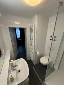 a white bathroom with a toilet and a sink at F5 - 2 Zimmer Wohnung in Offenbach +13 photos