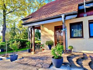 a house with potted plants in front of it at Ferienwohnung im Herzen der Lausitz in Groß Düben