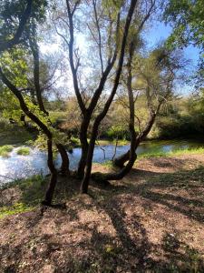 Příroda nedaleko apartmánu