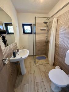 a bathroom with a sink and a shower and a toilet at Vila David 2 Comarnic in Comarnic