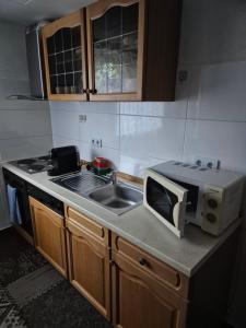 a kitchen counter with a microwave and a sink at Ferienwohnung Selb in Selb