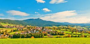 a village on a hill with mountains in the background at Bayerische Gastwirtschaft Dimpfl-Stadl in Lam