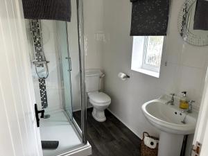 a bathroom with a shower and a toilet and a sink at Oxwich View Cottage in Swansea