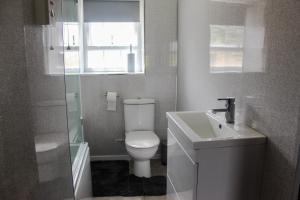 a bathroom with a toilet and a sink at Creggan Deveskey Homestead in Carrickmore +29 photos