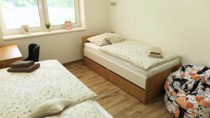 a bedroom with two beds and a chair in it at Petříkovy Apartmány in Bulhary