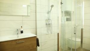 a bathroom with a shower and a sink and a toilet at Petříkovy Apartmány in Bulhary +17 photos