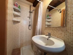 a bathroom with a sink and a shower at il nido di latera in Latera