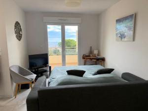 Televisyen dan/atau pusat hiburan di Appartement avec Terrasse, WIFI, Parking Privé, à 2min de la Plage des Elmes - Banyuls-sur-Mer - FR-1-309-130