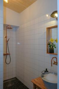 a bathroom with a sink and a shower at Logement de Appelgaard in Culemborg