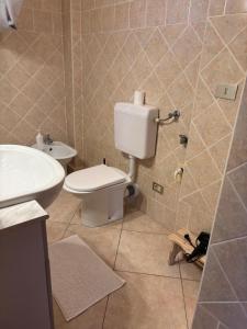 ペスカーラにあるB&B Alteaのトイレと洗面台付きのバスルーム