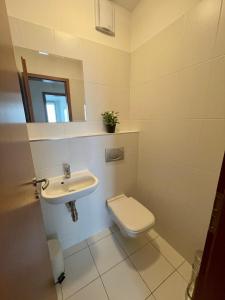 a bathroom with a toilet and a sink at Three towers with parking in Bratislava +4 photos
