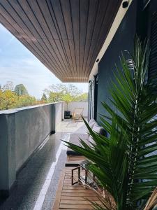 a patio with a bench and a plant on a house at Koliba 22 in Bratislava