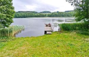 ein Holzsteg mitten in einem See in der Unterkunft 1 Bedroom Lovely Apartment In Golubie in Pierszczewo + 6 Fotos