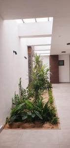 塔马兰Les Vues de Monte Carlos的相册照片