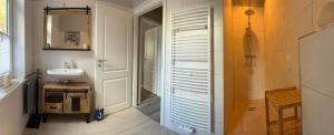a bathroom with a sink and a toilet and a mirror at Ferienwohnung Abzuchthafen in Goslar