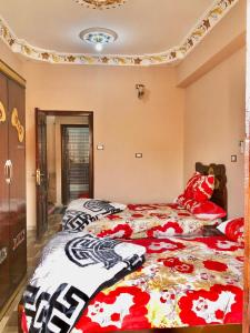 Postel nebo postele na pokoji v ubytování فندق هرم سيوة - Siwa Pyramid Hotel + 26 fotografií