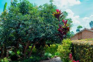 een tuin met bomen en struiken en een gebouw bij Cozy 3 bedroom house in Huye