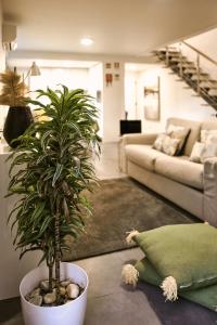 a living room with a potted plant and a couch at InSide Furnas in Furnas +36 photos
