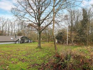 a tree in a yard in front of a house at 6 person holiday home in Roslev-By Traum in Vester Grønning