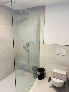 ein Badezimmer mit Dusche und Toilette in der Unterkunft Moderne, gepflegte helle Neubau-Einliegerwohnung in Rohrbach