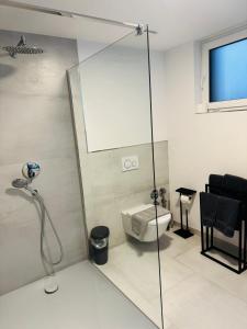 ein Badezimmer mit Dusche und Toilette in der Unterkunft Moderne, gepflegte helle Neubau-Einliegerwohnung in Rohrbach