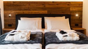 two dogs laying on beds in a bedroom at Aura in Isola Sacra