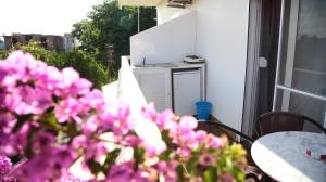a table and some pink flowers on a patio at Apartaments A4 in Ulcinj