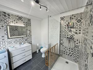 ein Badezimmer mit Dusche, Toilette und Waschbecken in der Unterkunft La maison d'Audrey - maison au pied du Hahenberg - au calme - parking gratuit in Châtenois