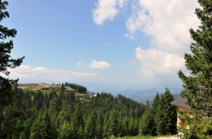 a view from the top of a mountain with trees at Almrausch-Feriendorf Koralpe in Elsenbrunn +11 photos