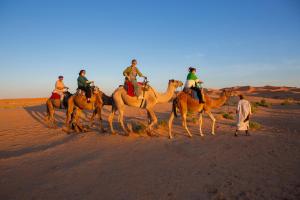 Hosté ubytování Luxury Desert Queen Camp