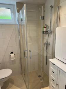a shower with a glass door in a bathroom at Kirchheim Hessen in Kirchheim +13 photos