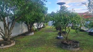 a row of trees in a yard next to a fence at Supunpong Pool Villa in Nakhon Nayok