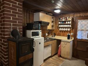 a kitchen with a stove and a microwave at Srub pod Lysou horou in Ostravice