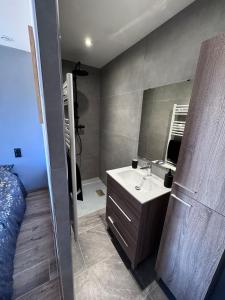a bathroom with a sink and a mirror at Le Gîte du Plessis Montanel à 20 mn du Mont Saint-Michel in Montanel +34 photos