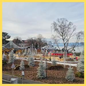 a park with snow covered trees and a train at Le Bellevue 2 in Thonon-les-Bains