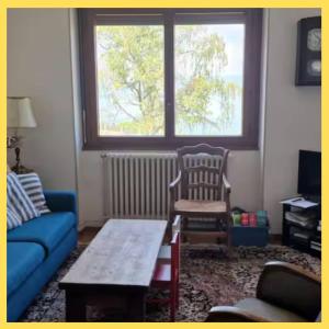 a living room with a couch and a chair and a table at Le Bellevue 2 in Thonon-les-Bains +28 photos