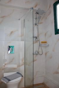 ein Badezimmer mit Dusche und Toilette in der Unterkunft Kekatos Studios in Lassi + 33 Fotos