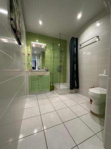 Bilik mandi di APPARTEMENT COSY TERRASSE VUE MER - TROIS ÎLETS