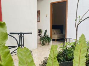 una habitación con plantas, una mesa y un sofá en Sahasi Stay, en Kalibata 1